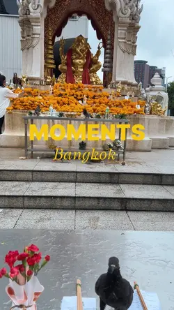 Moments of Bangkok