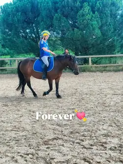 forever 