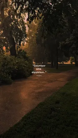 Alışıyorsun 
