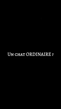 Un chat ordinaire ?