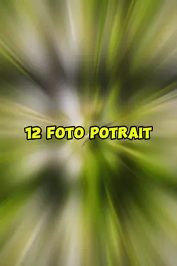 12 foto potrait
