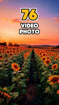 76 video or photo 