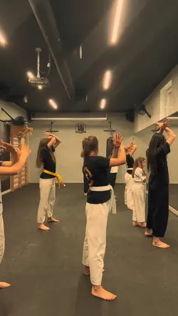 TKD demonstratio