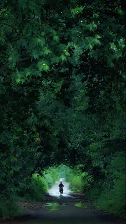 nature
