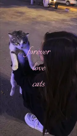 cats