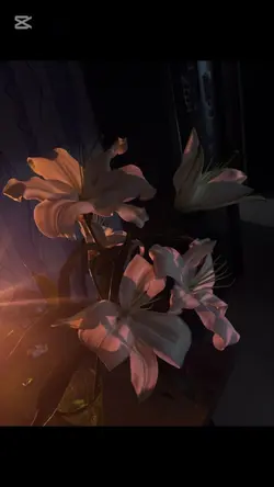 You should know