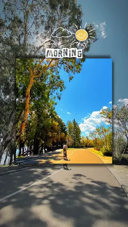 morning