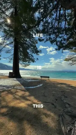 life is this
