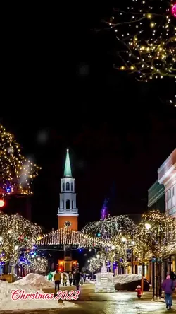 Christmas dump