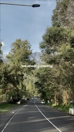 Tak sawang sawang 