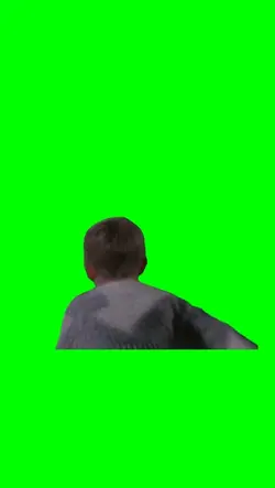 Home Alone meme