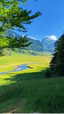 Beautiful Nature 