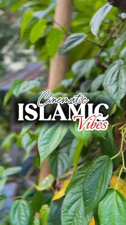 ISLAMIC VIBES