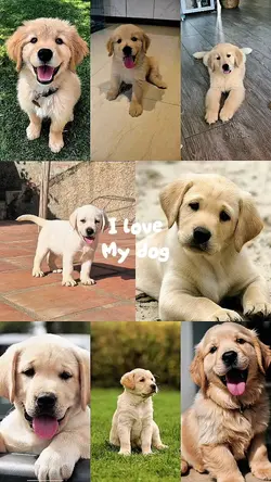 I love myndog