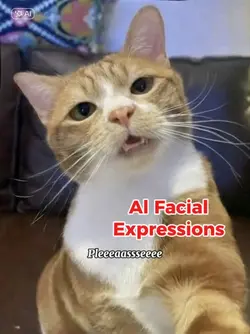 AI Facial Expression