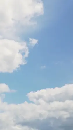 Dia do amigo
