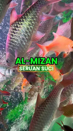 Al mizan