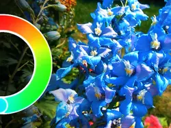 COLOR WHEEL TREND