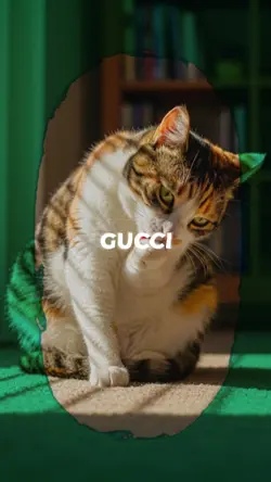 gucci gang