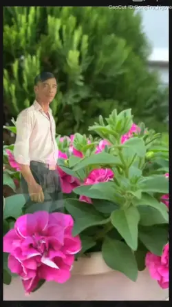 xuân thành