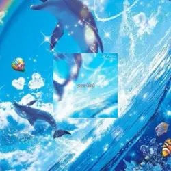 SYMPHONY DOLPHINS