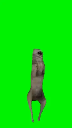 Dancing Wolf