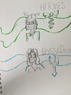 drawings