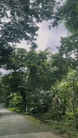 Nature vibes