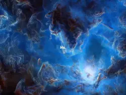 Trend iris universe