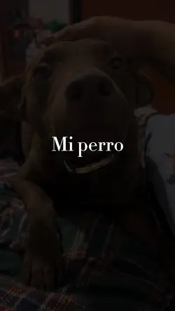 Amor de mascot