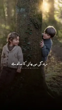 brothers love best L
