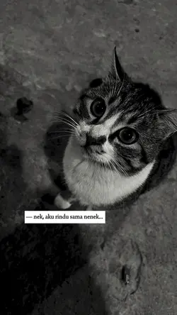 rindu nenek.. 