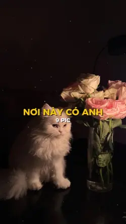 NƠI NÀY CÓ ANH