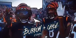 Bengals edit