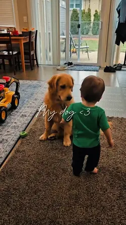 Your Pet