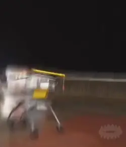 shopping cart edit
