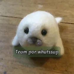 TEAM MULTIFANDOM 