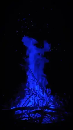 Tout feux tt flammes