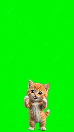 Kitten Brazil Shark 