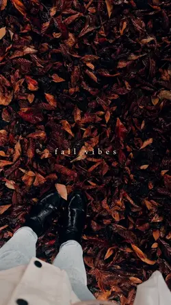 Autumn fall vibes