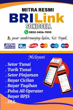 brilink
