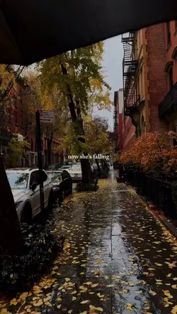 last leaves of autum