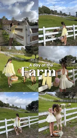 a day at the farm