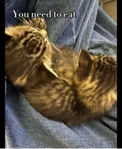 Heh...