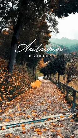 Autumn is Coming 