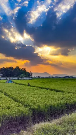 Southeast asia