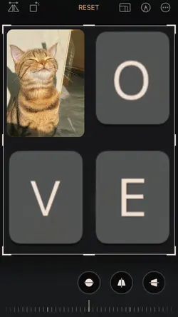 LOVE text photo