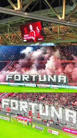 F95 Choreo