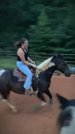 Her horses are GORG