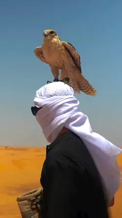 Arabic